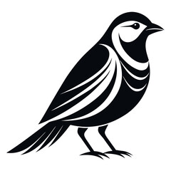 Obraz premium Lilac-Breasted Roller silhouette