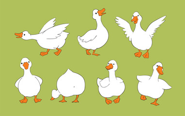Cute geese set on green background. Quirky goose character vector illustration hand drawn doodle. Funny white ducks running, standing, flapping and spreading wings. Cottage core farm bird mascot.