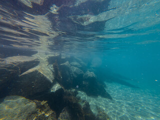 Rock formation below the water surface.