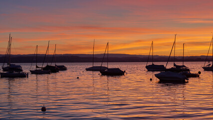 Fototapeta premium Bodensee Lake Sunset Panorama. Evening Sunlight Over Tranquil Waters. Sunset Vista at Lake Bodensee in Germany.