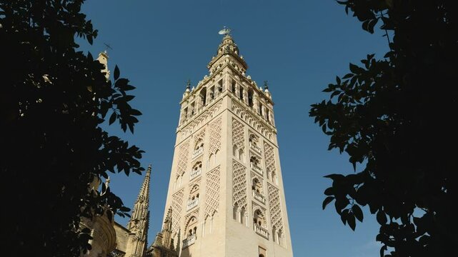view of giralda of seville in the middle between tree branches