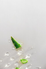 Aloe Vera Slice with Water Droplets on White Background.