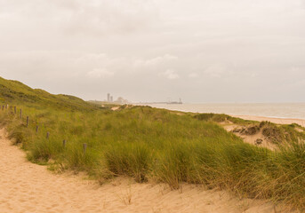 Dunes by the North Sea Coast