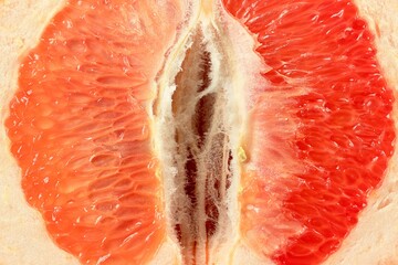 Longitudinal section of red grapefruit or blood orange close-up. Texture of juicy citrus pulp....