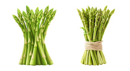 Fresh Asparagus Bundle on Transparent Background