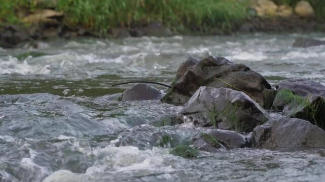 Flowing river water over rocks in a serene natural setting during daylight hours