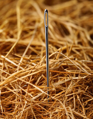 Needle in a hay stack
