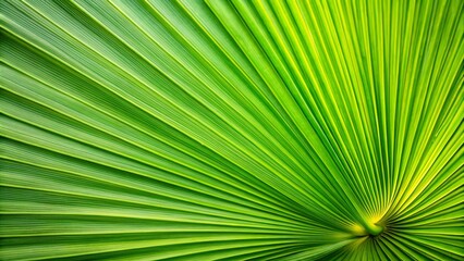 Obraz premium palm leaf texture natural tropical green leaf close up 
