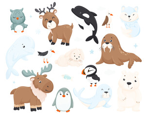 Large collection of cute funny wild polar animals and birds. Set of adorable mammals and arctic objects isolated on white background. Fauna of the north. Colorful vector illustration in flat style.