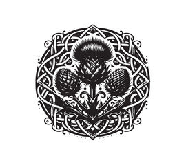 Scottish thistle vector