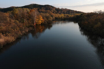 秋の色深まる河岸の木々