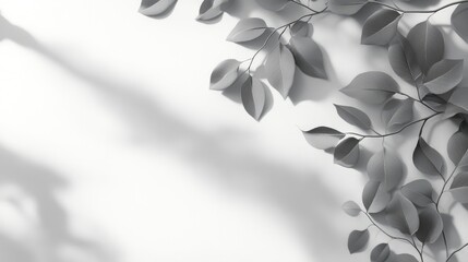 Gray shadows of wild rose leaves creating an abstract overlay on a white wall with a soft focus background, ideal for text placement and natural themes.
