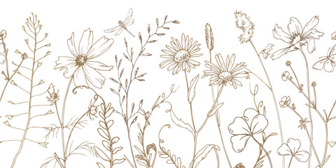 Field, meadow, wild flowers and herbs cosmos, chamomile, clover and insects. Line art is a simple hand-drawn illustration in beige, ochre, brown ink. Seamless border pattern vector EPS