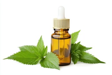 Nettle oil in a dropper bottle with leaves set against a white background