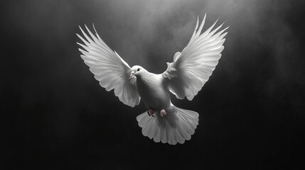 A graceful white dove captured mid-flight with its wings fully spread, symbolizing peace, freedom, and purity against a contrasting dark background.