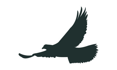 Flying Pigeon Silhouette Design  And Vector Illustration. 
