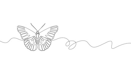  Continuous line art illustration of butterfly eps 10