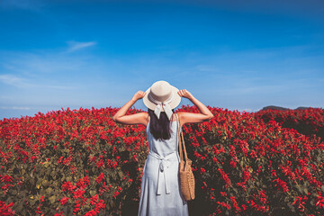 Traveler asian woman travel in flower garden at Chiang Mai Thailand Winter season