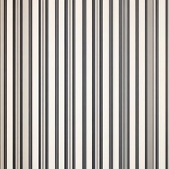 Obraz premium Elegant vertical stripes in black and white create a modern, sophisticated backdrop.