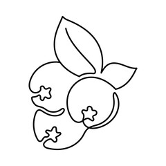 Monoline Blueberry Icon. Simple Line Blueberry Symbol. Minimalist Berry Fruit Vector.