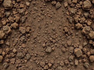 Close-up of rich and earthy dirt texture background with natural variations, outdoors, dirt texture
