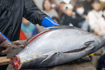 日本の三陸近海産マグロの解体