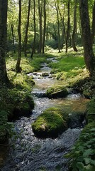 Obraz premium Serene Forest Stream: A Peaceful Nature Escape