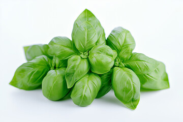 Fototapeta premium Selective focus fresh basil leaf isolated on white background, Green edible leaf for cooking ingredient, Spinach leaf on white.