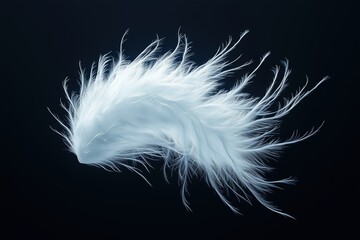 Obraz premium Close-up of a soft white feather on dark background