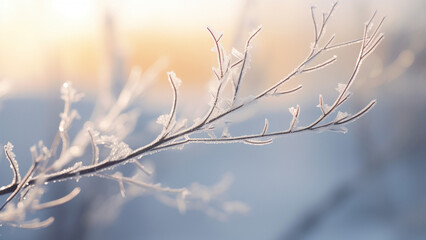 Obraz premium Frosted branch in winter sunrise. Concept of winter beauty, nature, and frost.