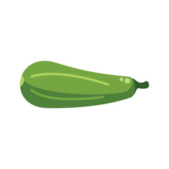 Simple vector illustration of a zucchini, isolated on a white background