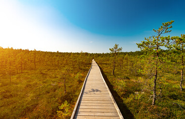 Wooden platform on the Viru Raba swamp lake in Estonia.