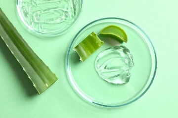 Petri dishes, cosmetic gel swatches with aloe on color background, copy space. Bio science research, biochemistry, organic skin care concept