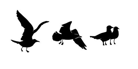 Black silhouette illustration of four petrels spreading their wings and flapping their wings	