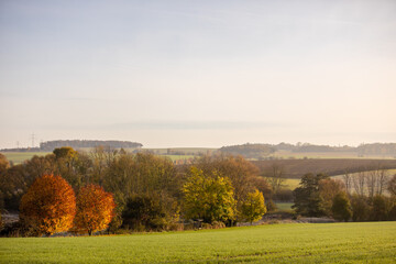 Blick über eine Landschaft im Herbst am frühen Morgen