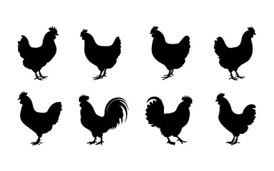 Hen silhouette set vector on white background.