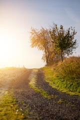 Ein Feldweg im Herbst im Sonnenaufgang fr&uuml;h morgens