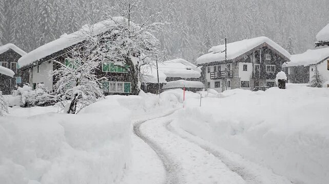 Mountain road with houses and snowstorm, in the background a forest of snow covered fir trees. Macugnaga, street Ripa Vecchia, Piedmont region, Italy on the european Alps