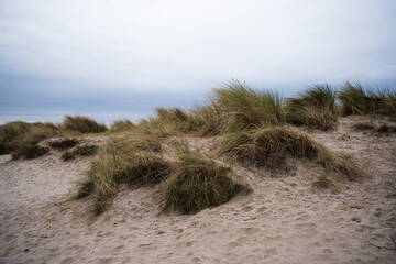 Naturstrand in Schillig, Wangerland, November 2024