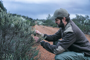 Ecologist Botanist working on the National park Reserve controlling invasive plant species 