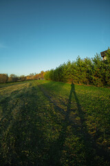 Naklejka premium Pedestrians walk through a shaded passage at Barangaroo with golden evening light casting long shadows on the pavement