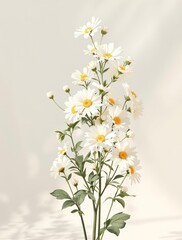 A bunch of white cervaria rivini flowers in a sunlight, natural beauty, wildflowers, sunbeams