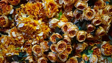 close up of a bunch of flowers