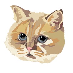 illustration of a cat