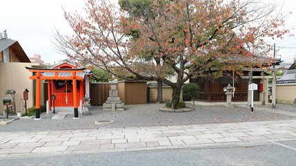 A Japanese temple ：A scene of the precincts of Mibu-dera Temple in Kyoto City