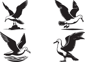 set of birds