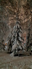 Winter landscape and street lights