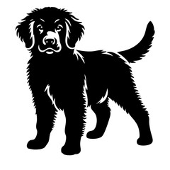 Golden Retriever dog  illustration, black silhouette of a dog