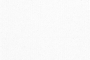 Obraz premium White paper texture background
