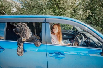 loyalty and joy pets bring during trips. dog happily joins a car ride, perfect travel companion